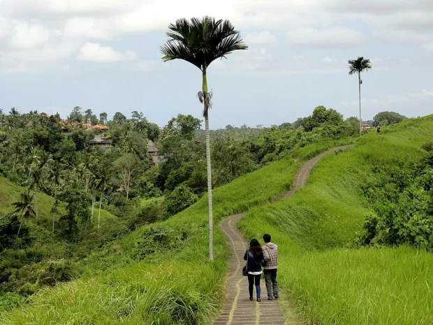 Campuhan Ridge Walk, Ubud, Bali (15003626368)