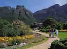 Kirstenbosch National Botanical Gardens - South Africa (2418528060)