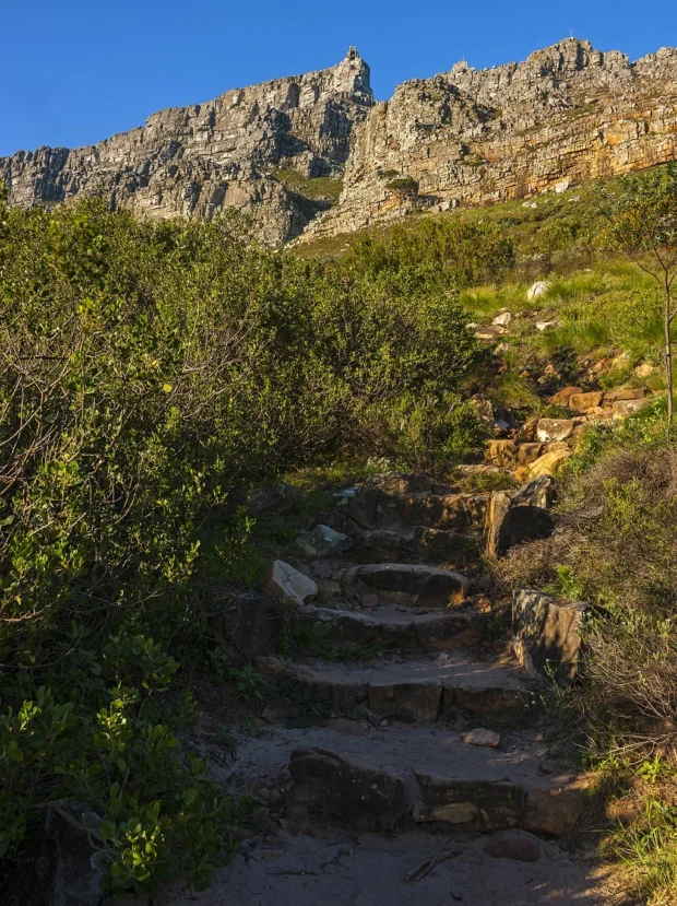 Start of Table Mountain trail, Cape Town