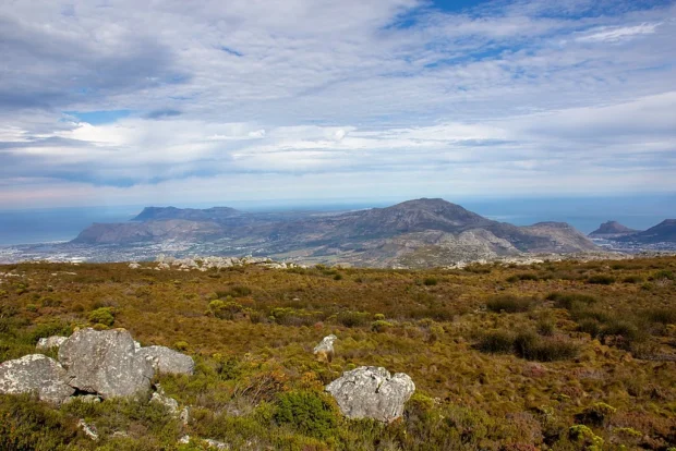 Table Mountain, Cape Town (MP) 2018 129