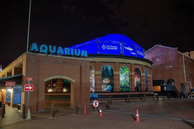 Two Oceans Aquarium 2018 18