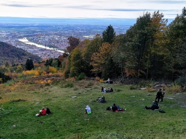 View from Königstuhl (Heidelberg), high hill in the Odenwald Mountains 02