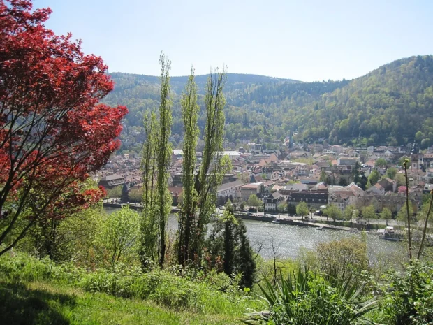 Heidelberg Philosophenweg Blick ins Neckartal