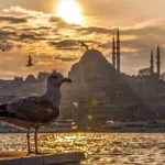 Emre Gencer