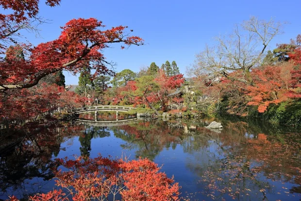 Eikan-do Zenrin-ji, November 2016 -03