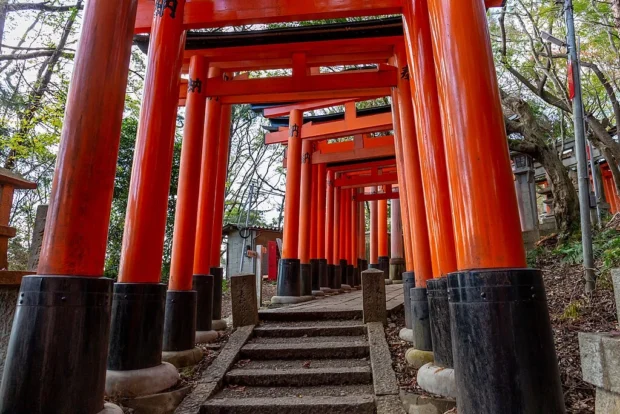 20181110 Fushimi Inari Torii 13