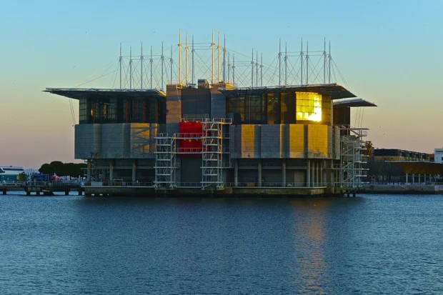 Lisbon Oceanarium (16505924243)