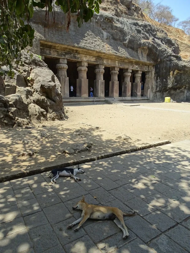 Cave Scene with Dogs Snoozing - Elephanta Caves - Elephanta Island - Mumbai - Maharashtra - India (26409412675)