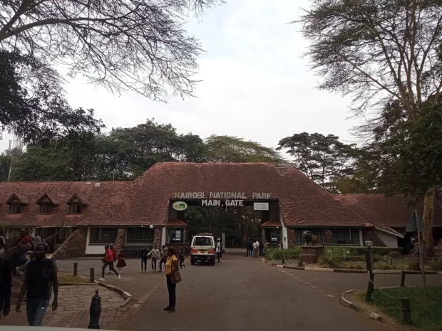 Nairobi National Park, Kenya (16050)