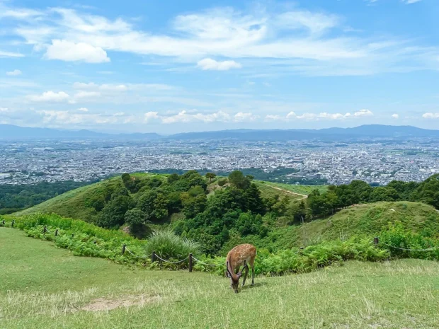 Mount Wakakusa, View from Summit of a Mountain 001