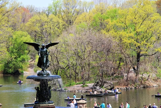 2994-Central Park-Bethesda Fountain