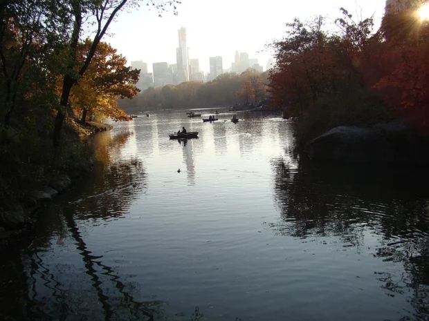 Central Park (8186594059)