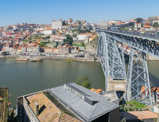 Dom Luis I bridge from Jardim do Morro (1)