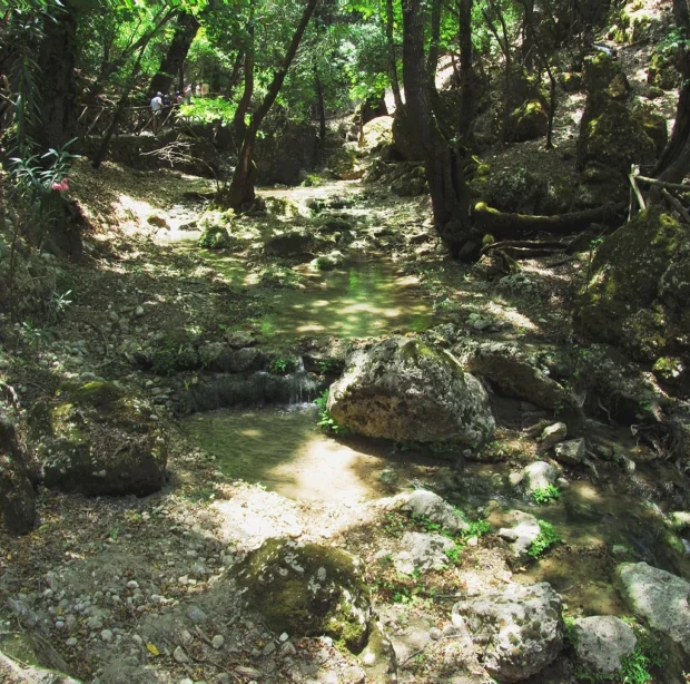 Petaloudes - stream retreat - panoramio