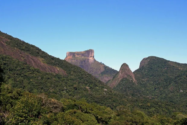 Floresta da Tijuca 60