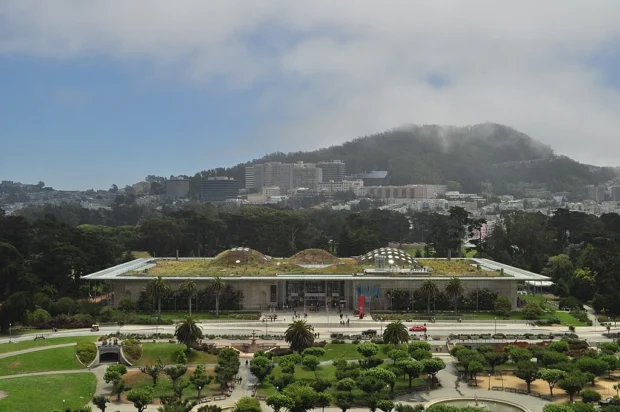 California Academy of Sciences from Hamon Observation Tower 01