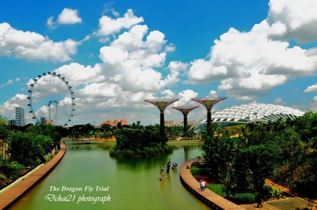 Dragonfly Lake, Gardens by the Bay, Singapore - 20111117-02