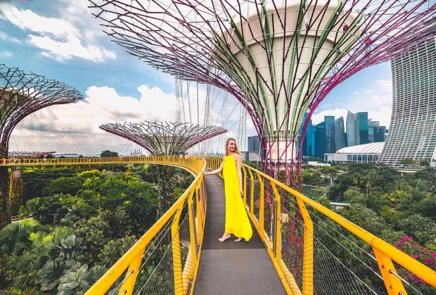 Gardens by the Bay in Singapore (44102457322)