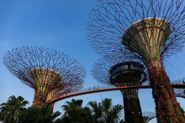 20190819 Gardens by the Bay Supertree Grove-5