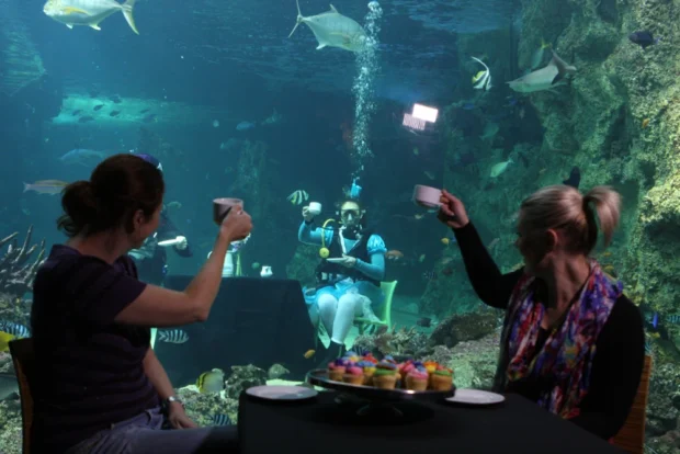 Sydney Aquarium Mad Hatters Tea Party (7238137956)