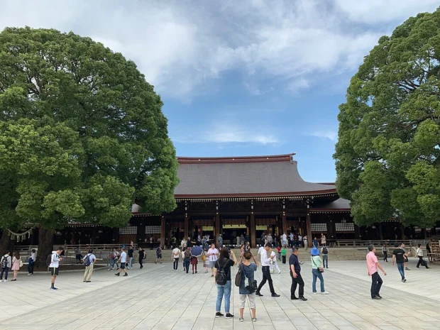 Serene Sacred Escape at Meiji Shrine in Tokyo