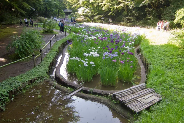 Tokyo, Japan, Meiji Shrine Inner Garden Meiji-Shrine-Innergarden-01