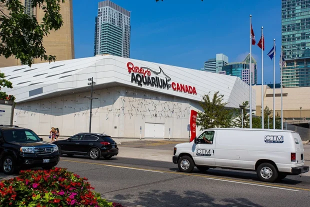 Ripley's Aquarium (20113857443)