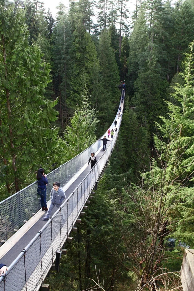Capilano Suspension Bridge 2012 Winter (6845984680)