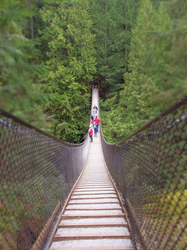Lynn Canyon Suspension Bridge (5623751942)